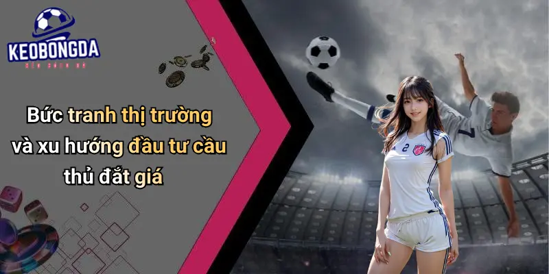Cầu Thủ Đắt Giá Nhất Ngoại Hạng Anh