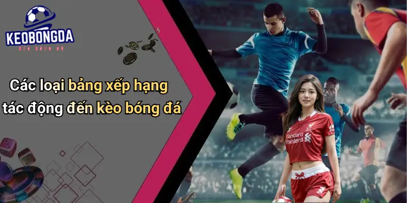 Bảng xếp hạng