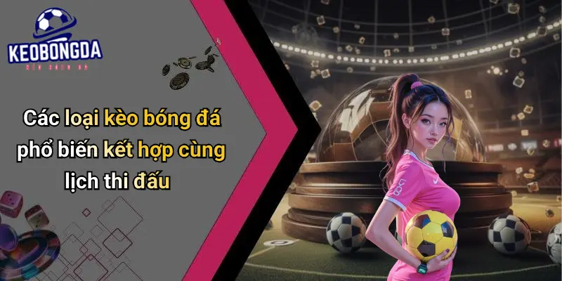 Lịch Thi Đấu