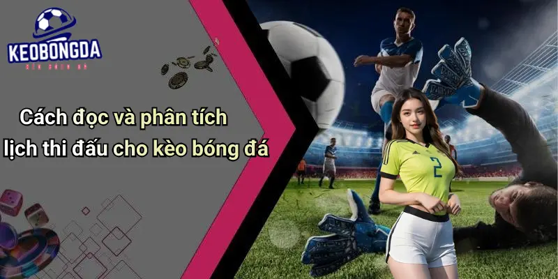 Lịch Thi Đấu
