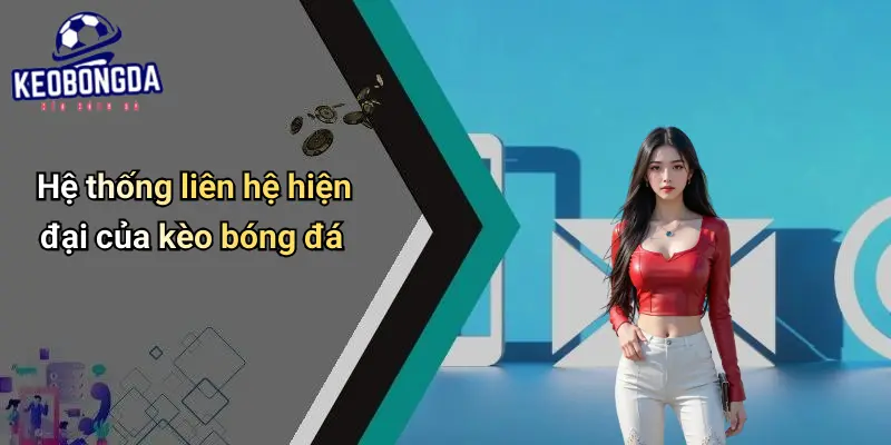 Liên hệ