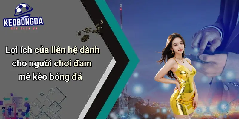 Liên hệ