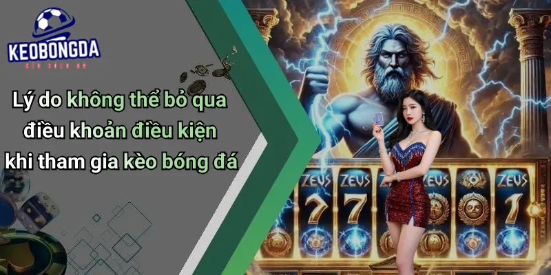 điều khoản điều kiện