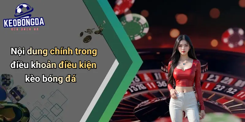 điều khoản điều kiện
