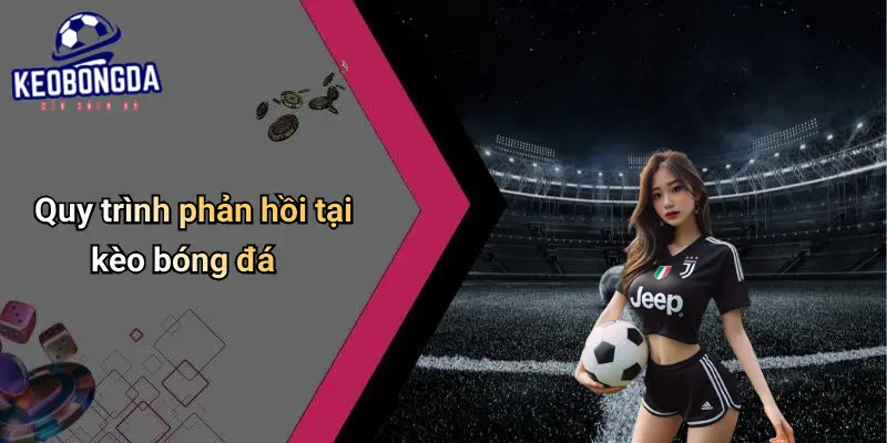 Liên hệ