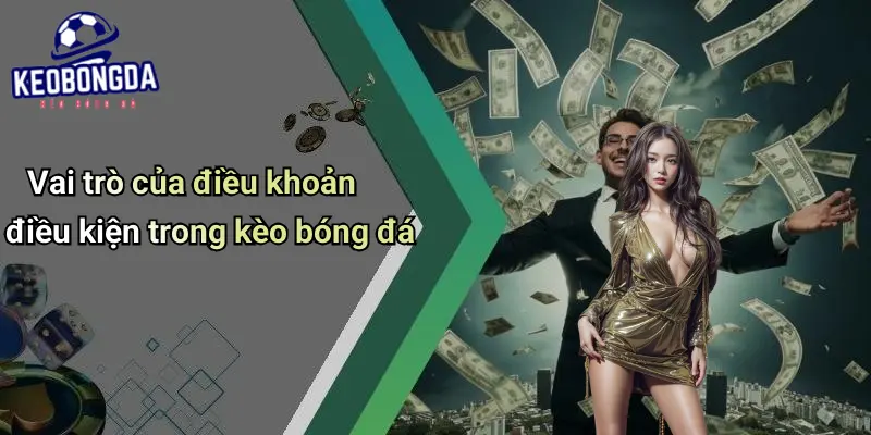 điều khoản điều kiện