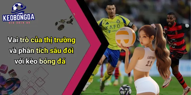 Tin Tức Bóng Đá