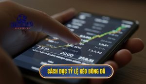 Cách đọc tỷ lệ kèo bóng đá
