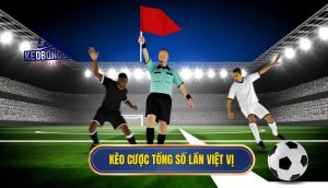 Kèo cược tổng số lần việt vị