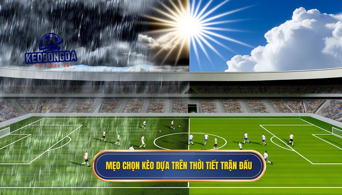 Mẹo chọn kèo dựa trên thời tiết trận đấu hiệu quả cho người chơi 3 Mẹo chọn kèo dựa trên thời tiết trận đấu