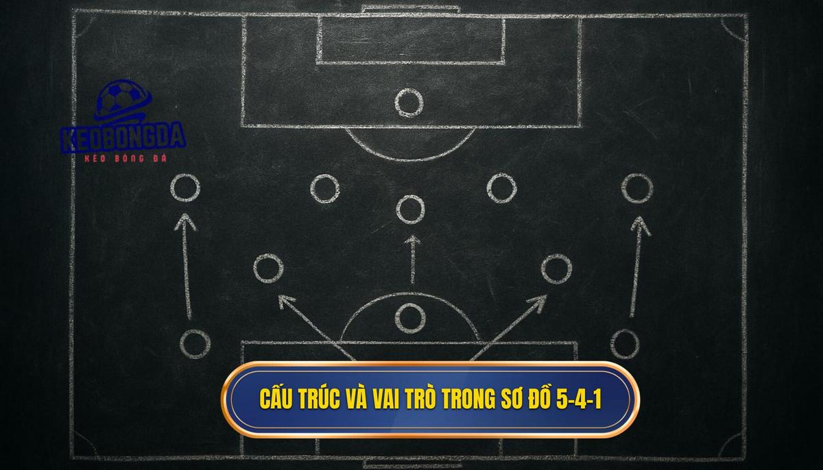 Cấu Trúc Cơ Bản Và Vai Trò Vị Trí Trong Sơ Đồ 5-4-1