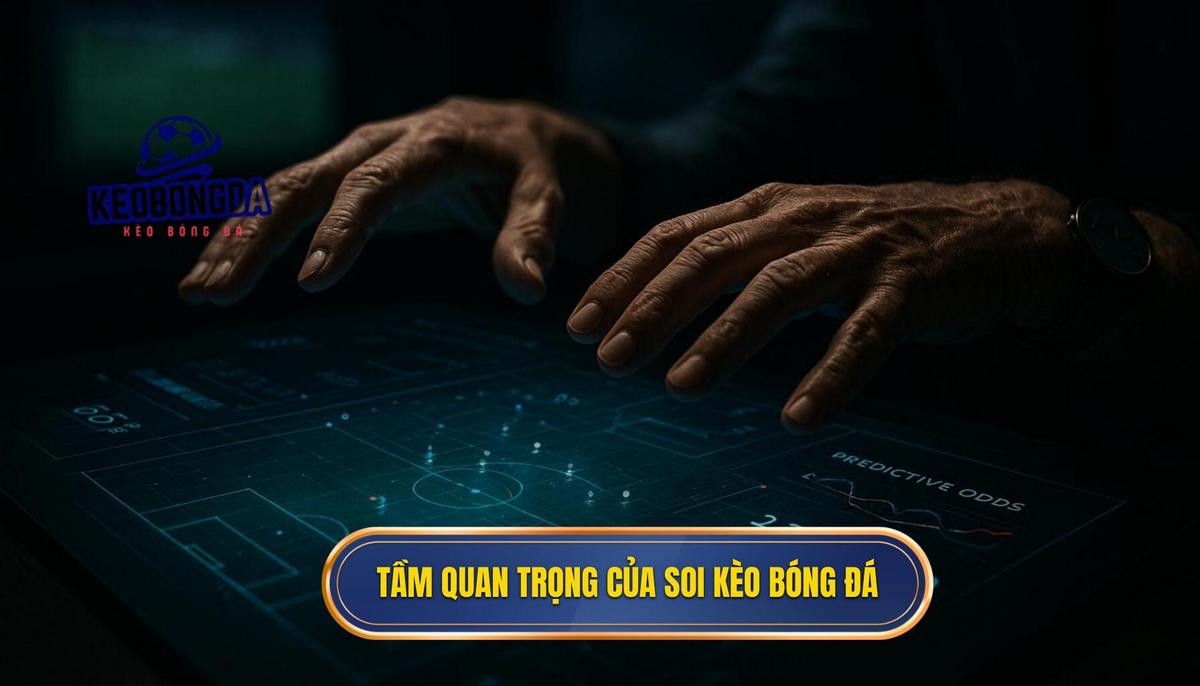 Tầm quan trọng của việc soi kèo bóng đá miễn phí trong cá cược hiện đại